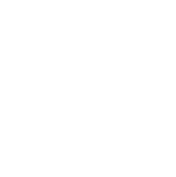 Bronner Bros Beauty Icon
